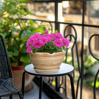 Indoor Planter 9 Inch - Image 5