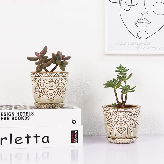 Gepege Succulent Pots, 4 Inch Small Indoor Ceramic Planter Pot - Image 7