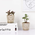 Gepege Succulent Pots, 4 Inch Small Indoor Ceramic Planter Pot - Image 7