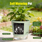 Plant Pots 8 Inch Self Watering Pots, 2 Pack Plastic Planters - Image 4