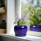 SQOWL Ceramic Planters for Indoor Plants - Image 2