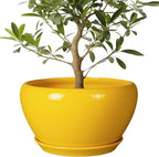 Ceramic Planter for Indoor Plants by Ceramicfor