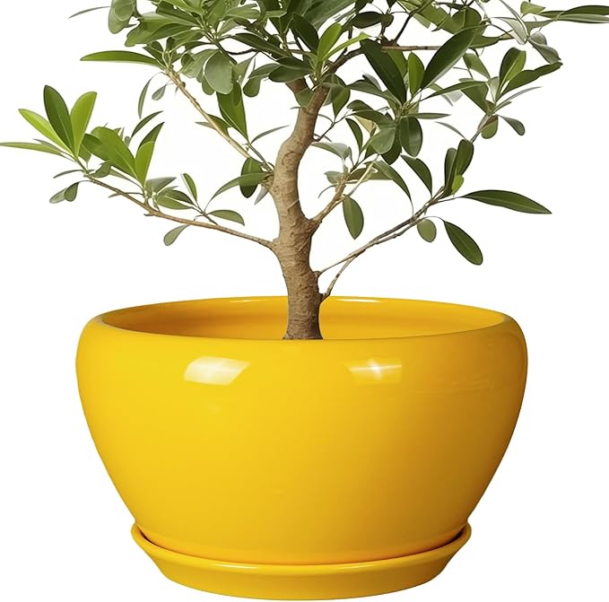 Ceramic Planter for Indoor Plants by Ceramicfor