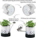 Nihow Self Watering Plant Pot: 8 Inch Ceramic Planter - Image 3