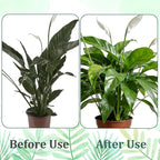 Grevosea 10 Pack Plant Support Stakes, Stackable Monstera Plant Supports - Image 6