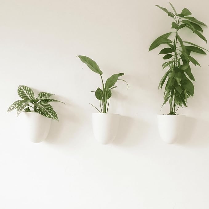 Make Good PlantPod Luxe Self-Watering Wall Planters by MakeGood