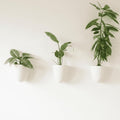 Make Good PlantPod Luxe Self-Watering Wall Planters by MakeGood