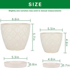 Docrin Ceramic Plant Pots Indoor, 6.6 + 5.5 Inch Planters - Image 2