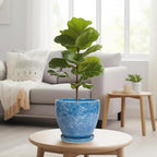 8 Inch Plant Pot - Image 7