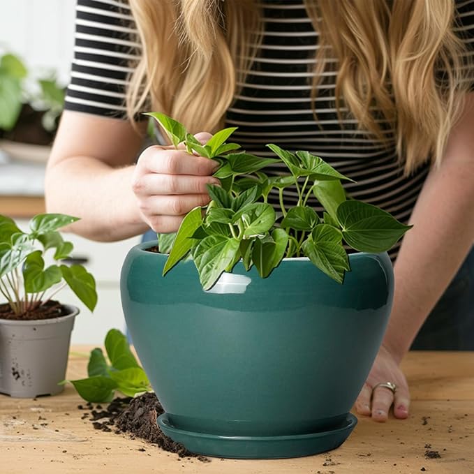 8 Inch Plant Pot - Image 5