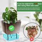 Self Watering Pots Set, 3 Pack 2.7 Inch Pots - Image 6