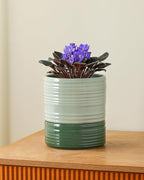 Self Watering Pots for Indoor Plants, 6 Inch Ceramic Self Watering Plant Pot - Image 4