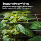VIVOSUN Heavy-duty Polyester Plant Trellis Netting 5 x 15ft, 1 Pack - Image 2