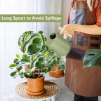 Watering Can Indoor Plants, 35oz Small Indoor Stainless Steel Metal Watering - Image 2