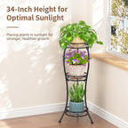 LASZOLA Black 3 Tier Tall Plant Stand - Image 2