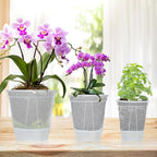 Cdd's Path 6-Pack Bare Root Planter Self Watering Pots Set - Image 7