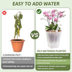 Clear Self Watering Pots for Indoor Plants - Image 4