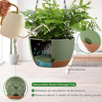 Hanging Planters for Indoor Plants - Image 3