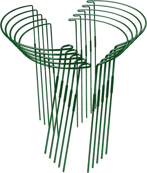 10-Pack Adjustable Height Snake Plant Support Stakes- Sturdy, Rust-Resistant by WooWellGoGoGoProducts