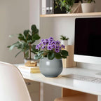 6 Inch Ceramic African Violet Pot, Easy Self Watering Pots - Image 3