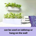LaLaGreen Wall Planter Carbon Steel White Metal Hanging Flower Pot - Image 5