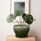 10 Inch Planter Pot - Image 4