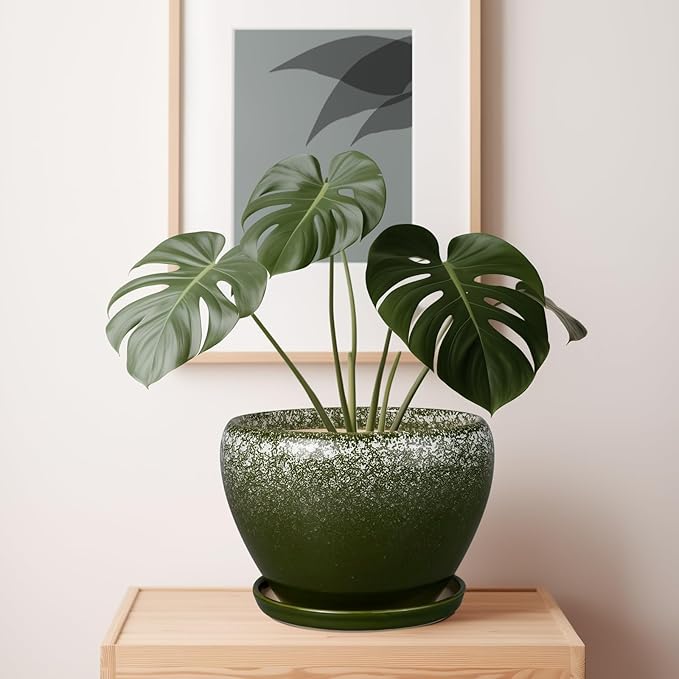 10 Inch Planter Pot - Image 4