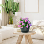 12/10/9 inch Large Plant Pots, 3 Pack Wide Flower Pots - Image 5