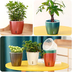 Self Watering Pots for Indoor Plants, Small African Violet Pots - Image 6