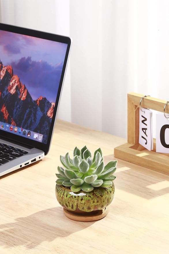 Cute Ceramic Succulent Garden Pots, Planter - Image 2