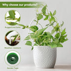 2 Pack Round Plant Trellis for Potted Plants Indoor Outdoor, Acrylic Small - Image 2