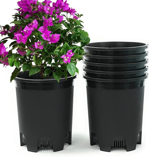 5 Gallon 6-Pack Large Plant Pots Nursery Tree Pot Plastic Planters by CottaPlanters