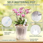 Clear Self Watering Pots for Indoor Plants - Image 7