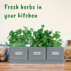 volila Herb Planter Indoor - Image 7