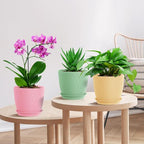 7 inch Plant Pots, 5 Pack Flower Pots - Image 6