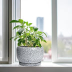 SQOWL Ceramic Planters - Image 4