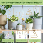 Small Trellis for Potted Plants Indoor - Image 2