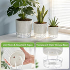 3 Pack Self Watering Pots for Indoor Plants, 4+5.5+6.3 Inch Self Watering Plant - Image 3