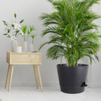 12 inch Large Self Watering Pots - Image 7