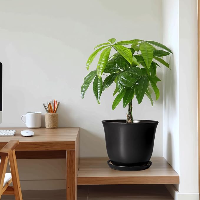 Ceramic Pots for Plants - Image 7