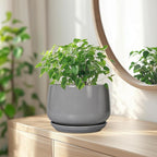 G EPGardening Modern Ceramic Planter - Image 6