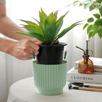 T4U 4 Inch Plant Pots Self Watering, 6 Pack African Violet Pots, Small Plant - Image 2