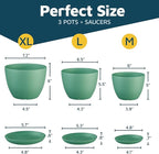 Mint Plant Pots with Drainage Holes & Saucers 3 Pack, Indoor & Outdoor - Image 2