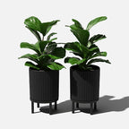 Veradek Demi Series Round Planter w/Stand - Image 9
