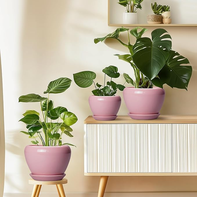 Ceramic Modern Glaze Succulent Planter Pot - Image 8