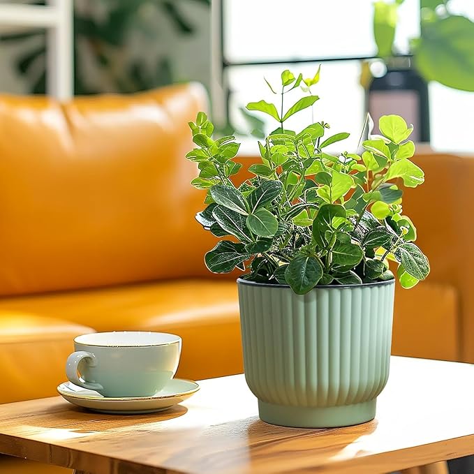 T4U 4.5 Inch Plant Pots Self Watering, 6 Pack African Violet Pots, Small Plant - Image 10