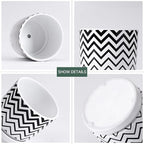 Ton Sin Plant Pots, 5.5 Inch White Pots - Image 4