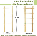 Avalution 20 Pack Bamboo Trellis - Image 5