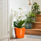 10 Inch Plant Pot - Image 6