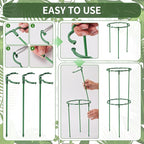 12 Pack Plant Support Stakes Sets - Image 5
